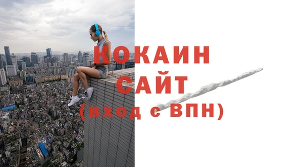 дмт Каменка