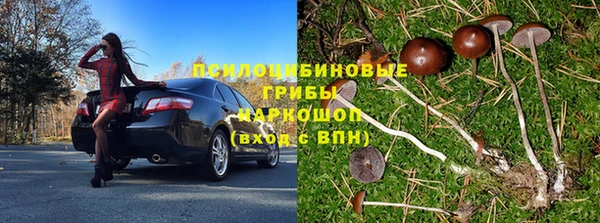 дмт Каменка