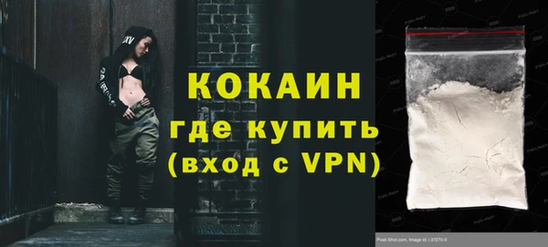 дмт Каменка