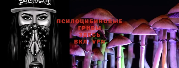 дмт Каменка