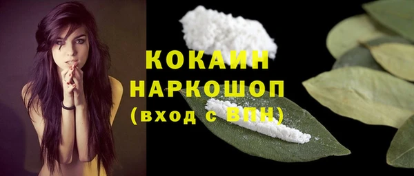 дмт Каменка