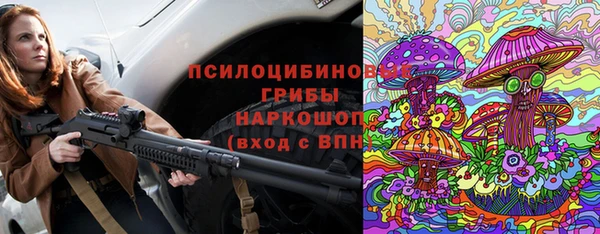 эйфоретик Касимов