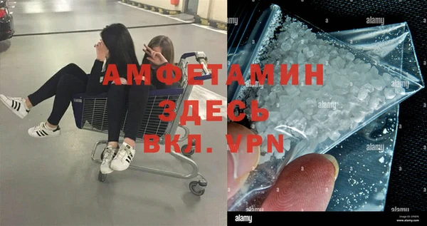 дмт Каменка